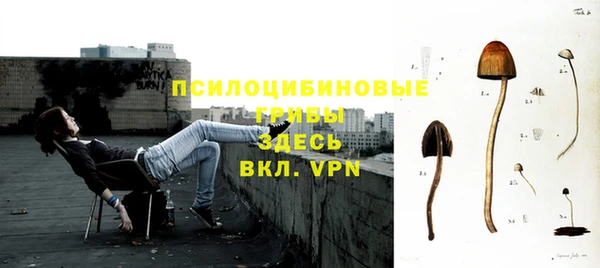 ГАЛЛЮЦИНОГЕННЫЕ ГРИБЫ Балашиха