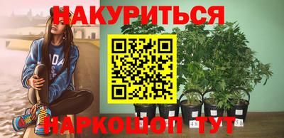 трава Новокубанск