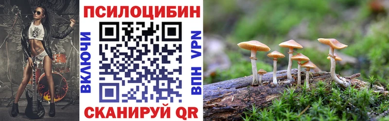 Псилоцибиновые грибы мицелий  Липецк 