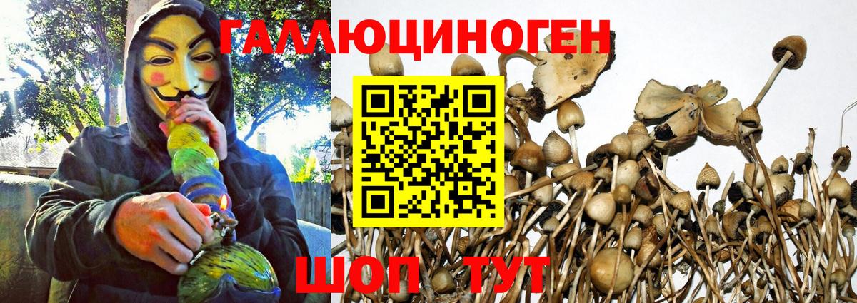 Галлюциногенные грибы ЛСД Липецк