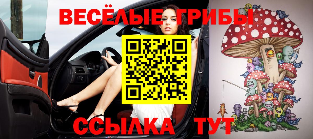 Липецк  Галлюциногенные грибы Cubensis  Вход с VPN 