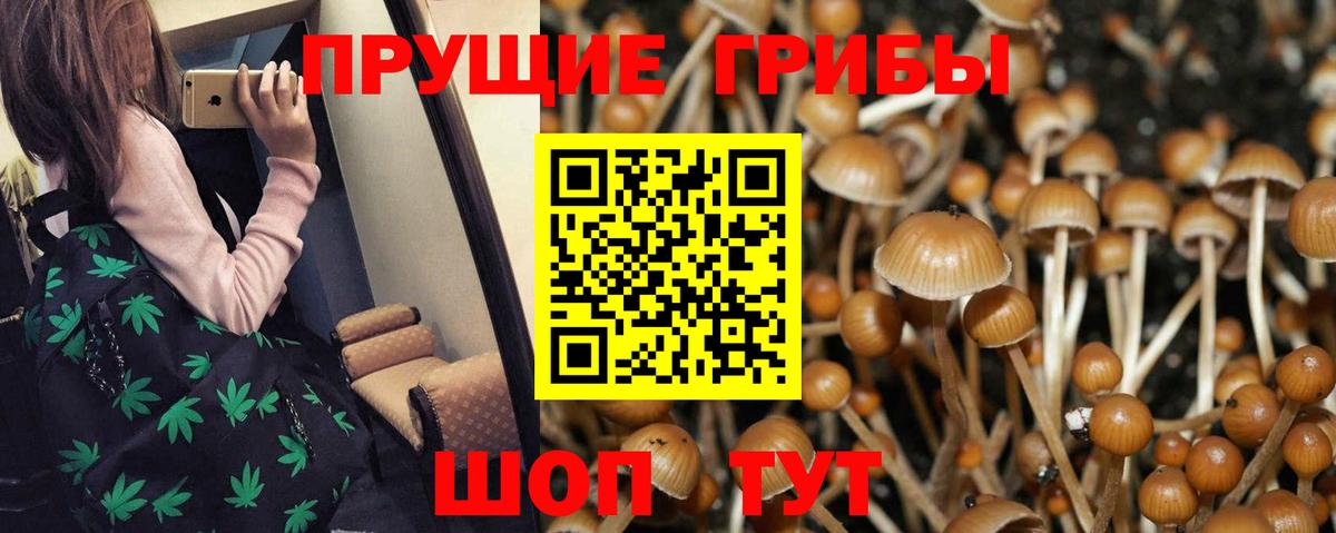 Галлюциногенные грибы GOLDEN TEACHER  Липецк  Галлюциногенные грибы Cubensis 